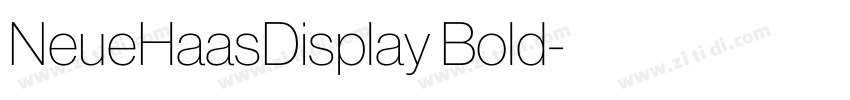 NeueHaasDisplay Bold字体转换 NeueHaasDisplay Bold字体转换